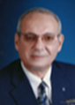 Alaaeldin A. Elkoussi