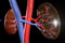 2nd International Conference on Nephrology & Therapeutics 2nd International Conference on Nephrology & Therapeutics