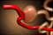 World Congress on Endocrinology World Congress on Endocrinology