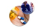 International Summit on Clinical Pharmacy & Dispensing International Summit on Clinical Pharmacy & Dispensing