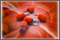 International Conference on Predictive, Preventive and Personalized Medicine & Molecular Diagnostics International Conference on Predictive, Preventive and Personalized Medicine & Molecular Diagnostics