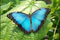 International Conference on Integrative Biology Summit International Conference on Integrative Biology Summit