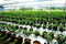 2nd International Conference on Agricultural & Horticultural Sciences 2nd International Conference on Agricultural & Horticultural Sciences