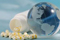 2nd International Summit on GLP, GCP & Clinical Pharmacology 2nd International Summit on
GLP, GCP & Clinical Pharmacology