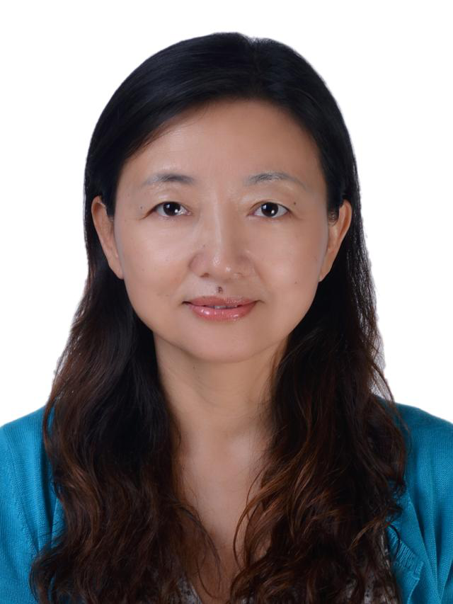 Wang Huili