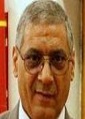 Hosam Bayoumi Hamuda